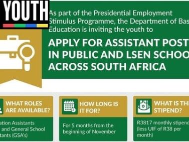 Phase Six | Teachers assistants and School General Assistants (2024 Applications).